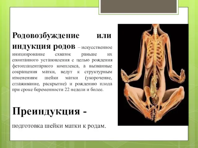 Родовозбуждение или индукция родов – искусственное инициирование схваток раньше их спонтанного