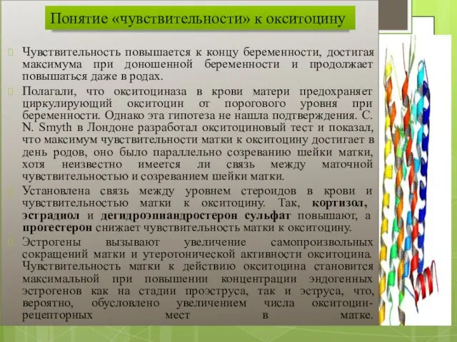 Чувствительность повышается к концу беременности, достигая максимума при доношенной беременности и