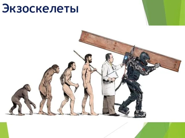 Экзоскелеты