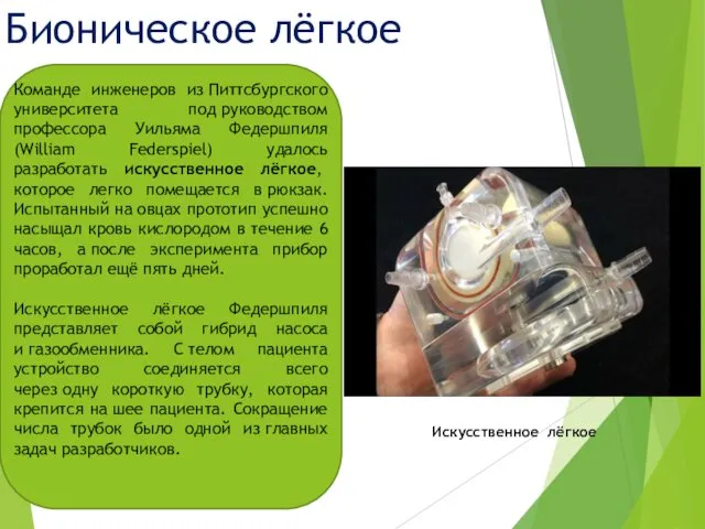 Бионическое лёгкое Искусственное лёгкое Команде инженеров из Питтсбургского университета под руководством