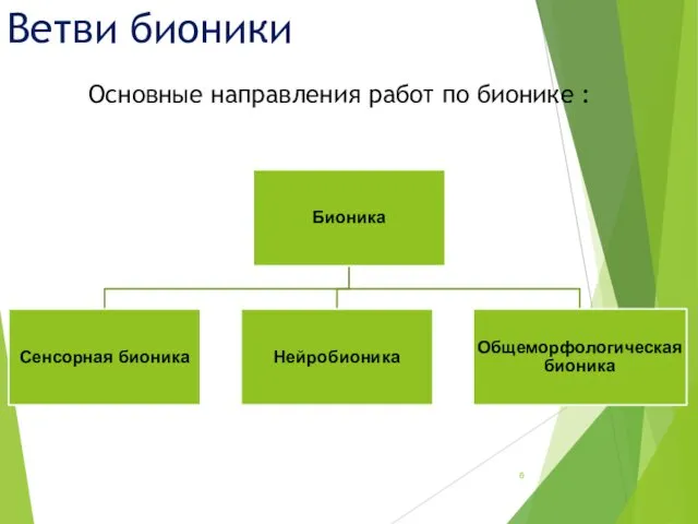 Основные направления работ по бионике : Ветви бионики