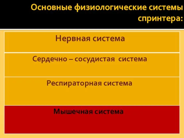 Основные физиологические системы спринтера: