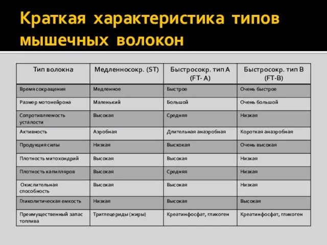 Краткая характеристика типов мышечных волокон