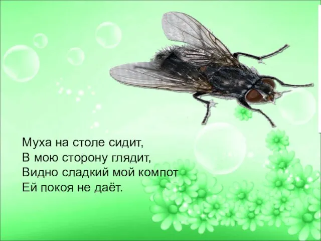 Муха на столе сидит, В мою сторону глядит, Видно сладкий мой компот Ей покоя не даёт.