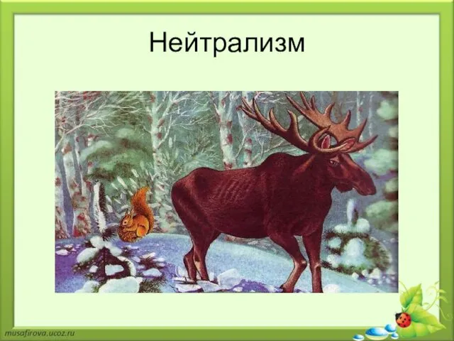 Нейтрализм