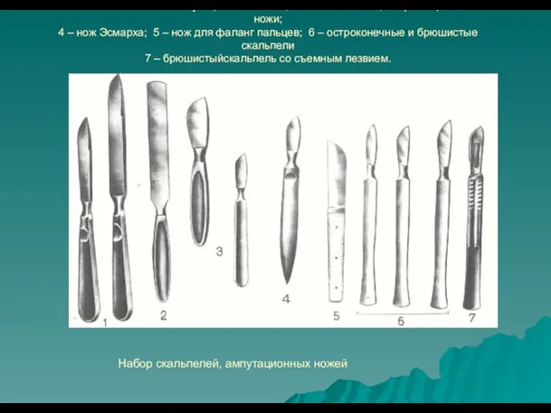 1 – малый и большой ампутационные ножи; 2 – мозговой нож;