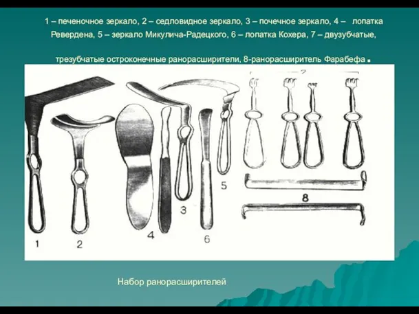 . 1 – печеночное зеркало, 2 – седловидное зеркало, 3 –