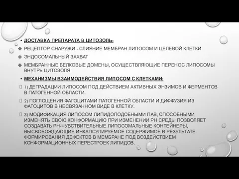 ДОСТАВКА ПРЕПАРАТА В ЦИТОЗОЛЬ: РЕЦЕПТОР СНАРУЖИ - СЛИЯНИЕ МЕМБРАН ЛИПОСОМ И