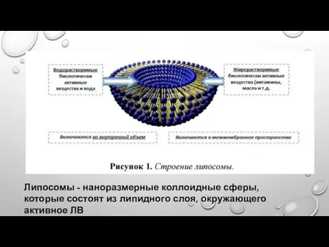 Липосомы - наноразмерные коллоидные сферы, которые состоят из липидного слоя, окружающего активное ЛВ