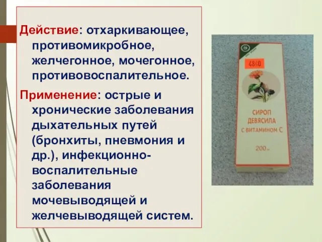 Действие: отхаркивающее, противомикробное, желчегонное, мочегонное, противовоспалительное. Применение: острые и хронические заболевания