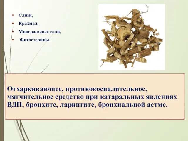 Слизи, Крахмал, Минеральные соли, Фитостерины. Отхаркивающее, противовоспалительное, мягчительное средство при катаральных