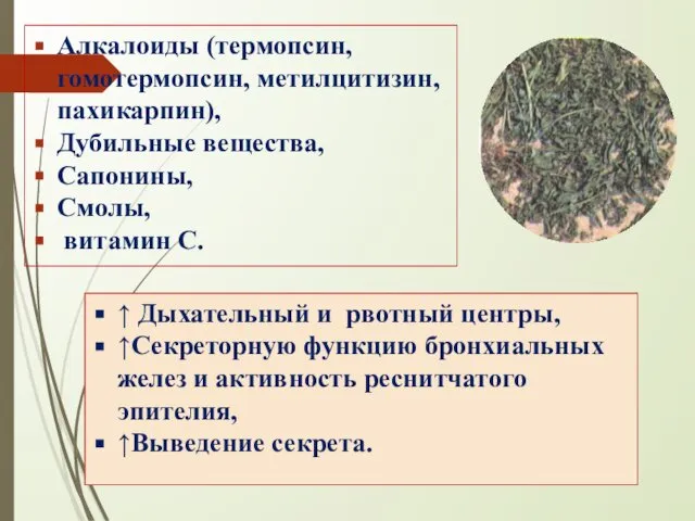 Алкалоиды (термопсин, гомотермопсин, метилцитизин, пахикарпин), Дубильные вещества, Сапонины, Смолы, витамин С.