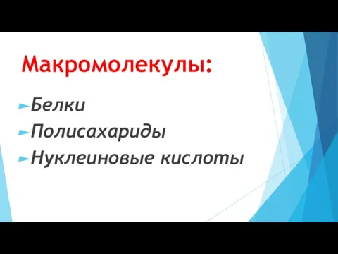 Макромолекулы: Белки Полисахариды Нуклеиновые кислоты