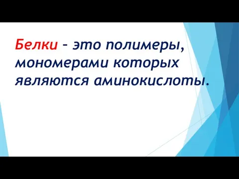 Белки – это полимеры, мономерами которых являются аминокислоты.