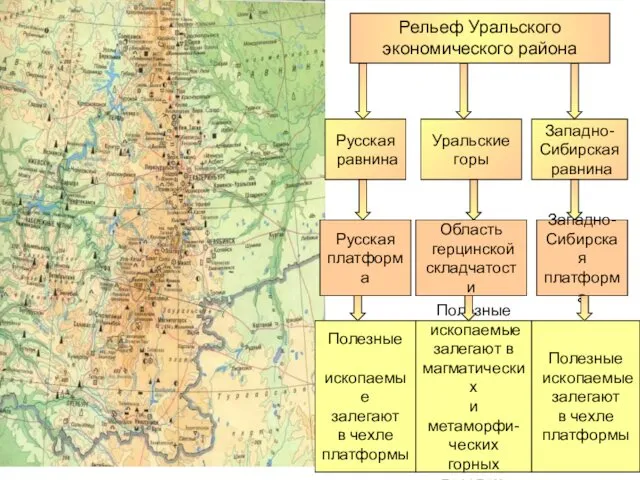 Рельеф Уральского экономического района Русская равнина Западно- Сибирская равнина Уральские горы