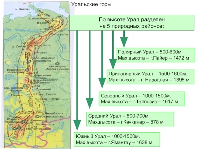 Уральские горы По высоте Урал разделен на 5 природных районов: Полярный