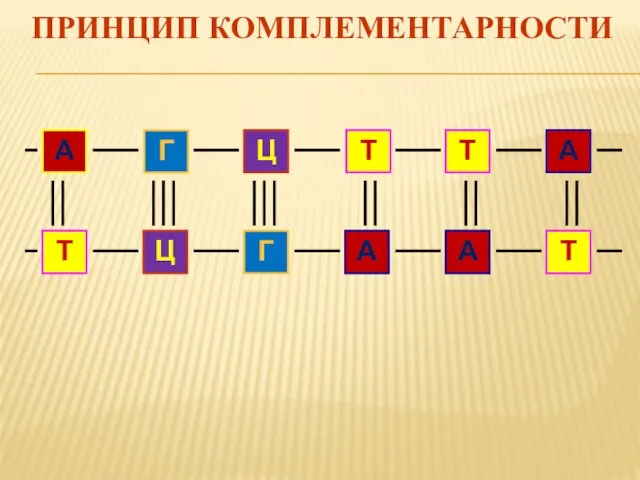 ПРИНЦИП КОМПЛЕМЕНТАРНОСТИ