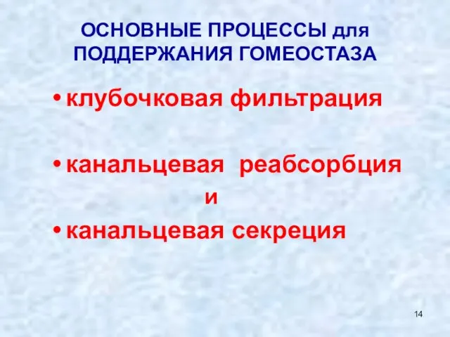 ОСНОВНЫЕ ПРОЦЕССЫ для ПОДДЕРЖАНИЯ ГОМЕОСТАЗА клубочковая фильтрация канальцевая реабсорбция и канальцевая секреция