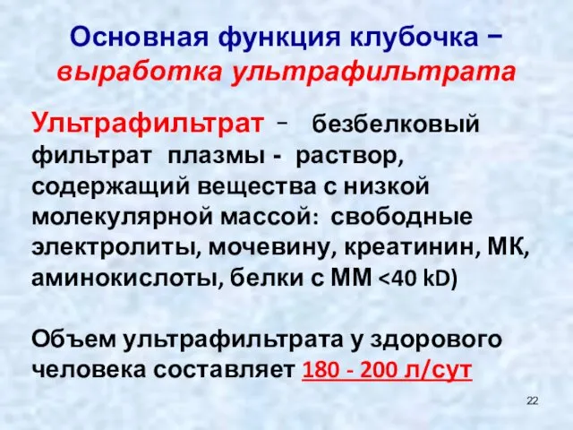 Основная функция клубочка − выработка ультрафильтрата Ультрафильтрат − безбелковый фильтрат плазмы