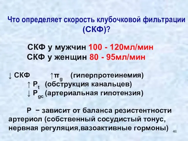 Что определяет скорость клубочковой фильтрации(СКФ)? СКФ у мужчин 100 - 120мл/мин