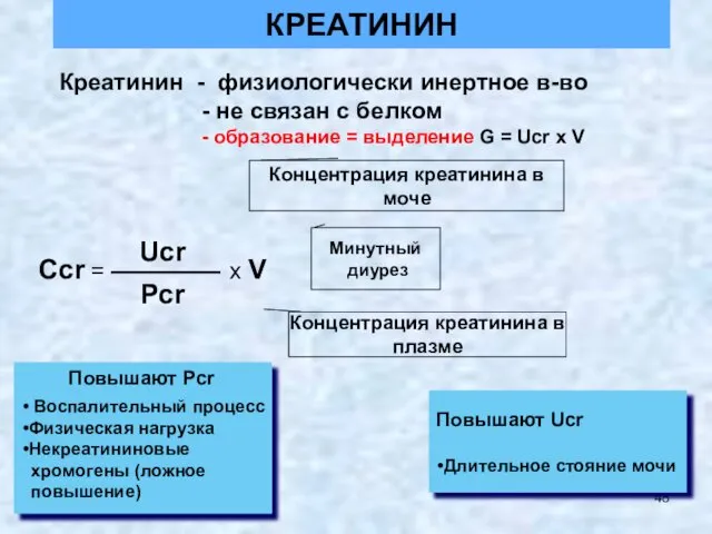 КРЕАТИНИН Воспалительный процесс Физическая нагрузка Некреатининовые хромогены (ложное повышение) Повышают Ucr