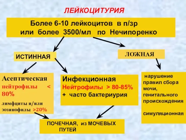 ЛЕЙКОЦИТУРИЯ Более 6-10 лейкоцитов в п/зр или более 3500/мл по Нечипоренко