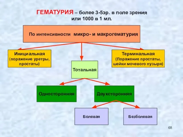 ГЕМАТУРИЯ – более 3-5эр. в поле зрения или 1000 в 1 мл.