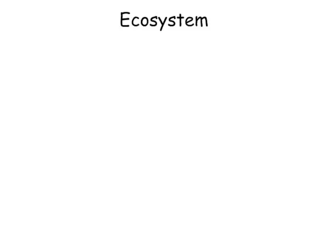 Ecosystem