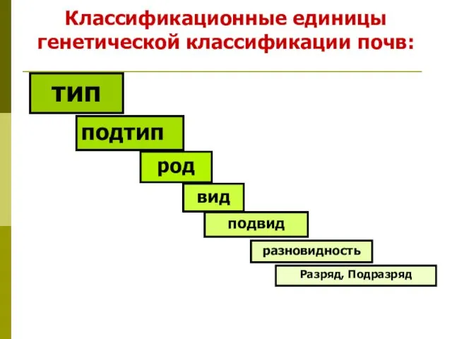 Классификационные единицы генетической классификации почв: тип подтип род вид подвид разновидность