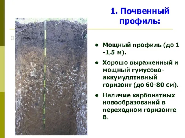 1. Мощный профиль (до 1 -1,5 м). Хорошо выраженный и мощный