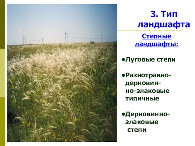 3. Тип ландшафта Степные ландшафты: Луговые степи Разнотравно-дерновин- но-злаковые типичные Дерновинно-злаковые степи