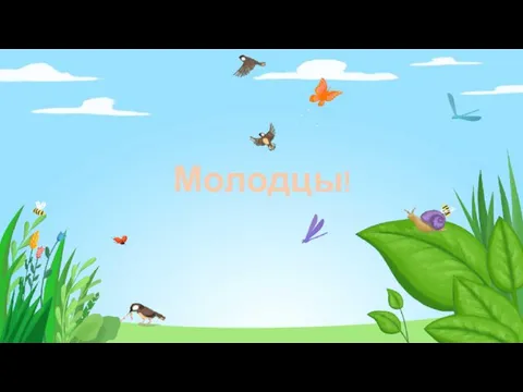 Молодцы!