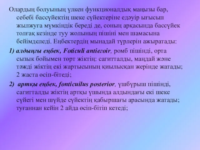 Олардың болуының үлкен функционалдық маңызы бар, себебі бассүйектің шеке сүйектеріне едәуір