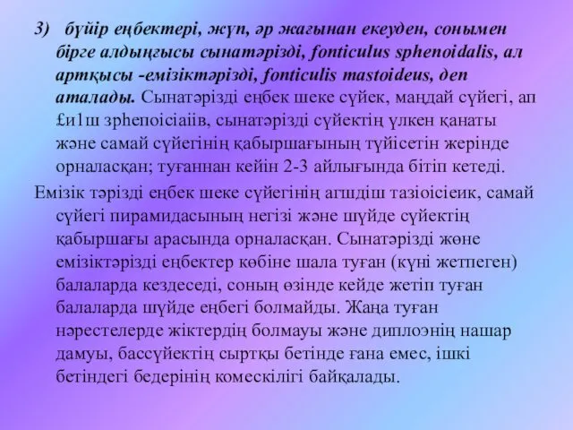 3) бүйір еңбектері, жүп, әр жағынан екеуден, сонымен бірге алдыңғысы сынатәрізді,