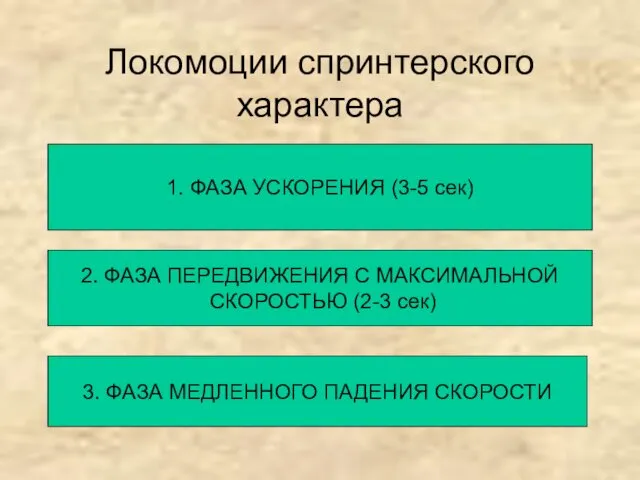 Локомоции спринтерского характера 1. ФАЗА УСКОРЕНИЯ (3-5 сек) 2. ФАЗА ПЕРЕДВИЖЕНИЯ