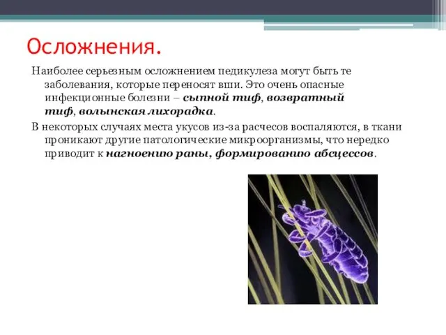 Осложнения. Наиболее серьезным осложнением педикулеза могут быть те заболевания, которые переносят