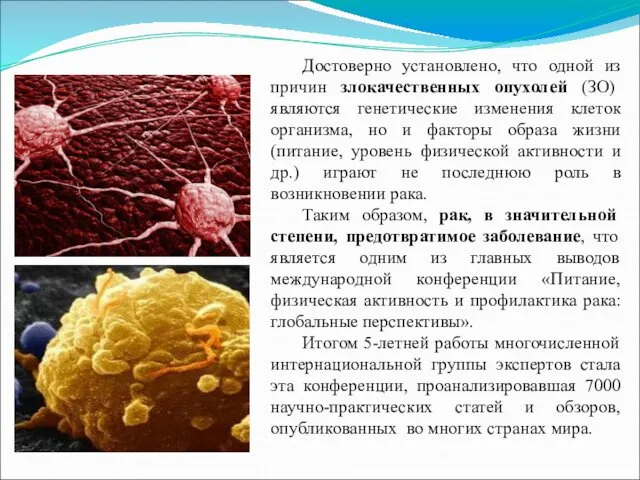 Достоверно установлено, что одной из причин злокачественных опухолей (ЗО) являются генетические