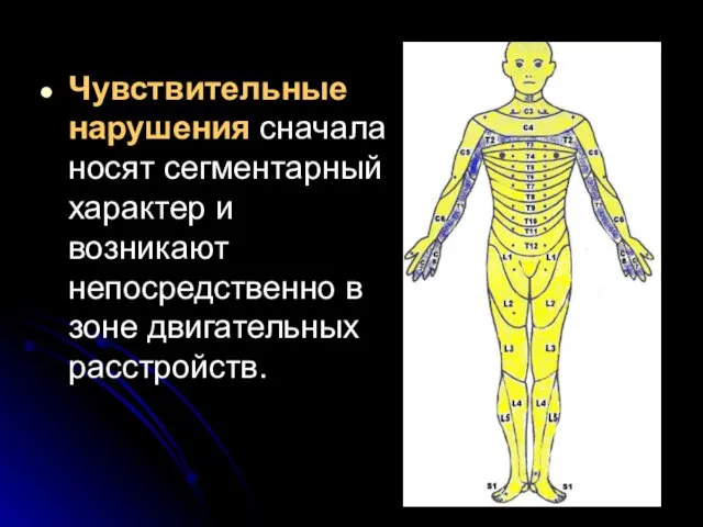 Чувствительные нарушения сначала носят сегментарный характер и возникают непосредственно в зоне двигательных расстройств.