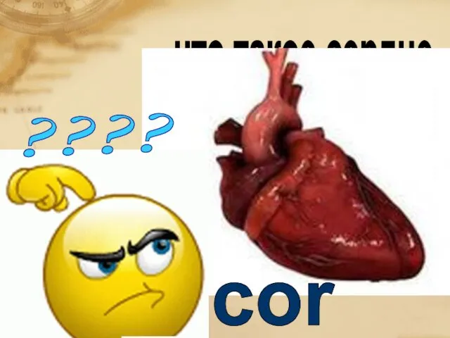 что такое сердце ???? cor