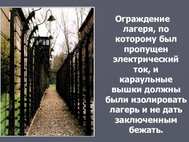 Ограждение лагеря, по которому был пропущен электрический ток, и караульные вышки