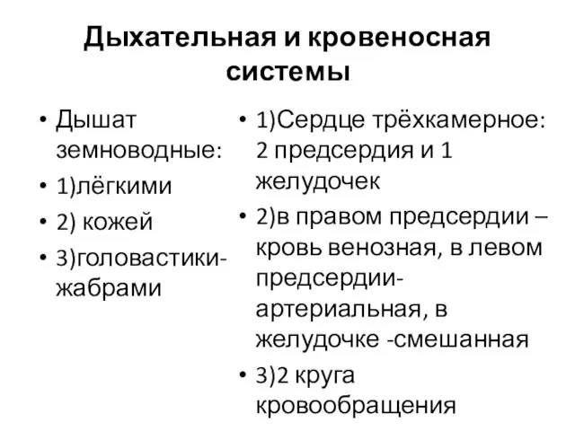 Дыхательная и кровеносная системы Дышат земноводные: 1)лёгкими 2) кожей 3)головастики-жабрами 1)Сердце