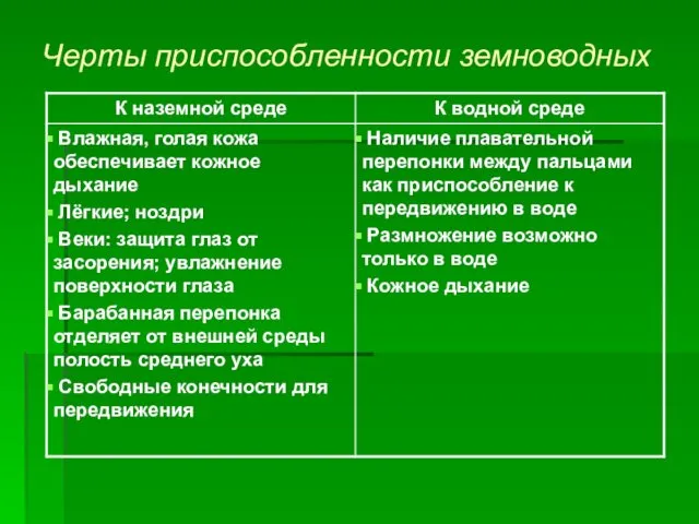 Черты приспособленности земноводных