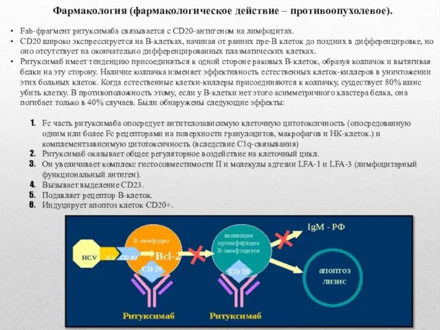 Фармакология (фармакологическое действие – противоопухолевое). Fab-фрагмент ритуксимаба связывается с CD20-антигеном на