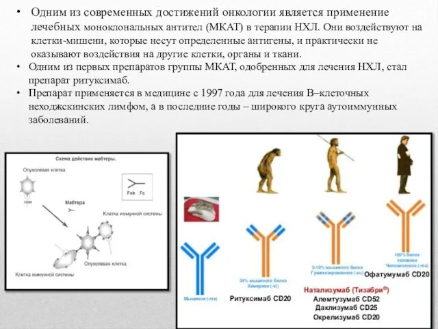 Одним из современных достижений онкологии является применение лечебных моноклональных антител (МКАТ)