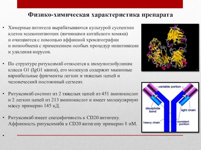 Химерные антитела вырабатываются культурой суспензии клеток млекопитающих (яичниками китайского хомяка) и