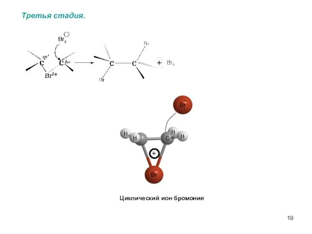 Третья стадия. Циклический ион бромония