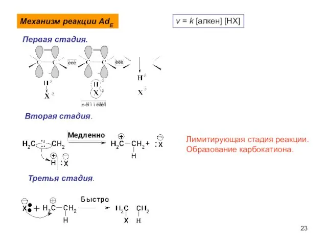 Механизм реакции AdE Первая стадия. Лимитирующая стадия реакции. Образование карбокатиона. Вторая