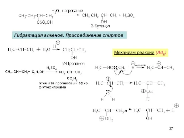 Гидратация алкенов. Присоединение спиртов Механизм реакции (AdE) медленно