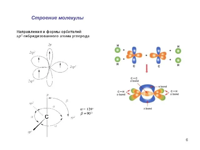 Строение молекулы