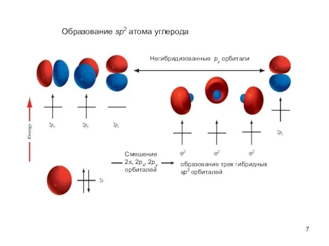 Негибридизованные pz орбитали Смешение 2s, 2px, 2py орбиталей Образование sp2 атома